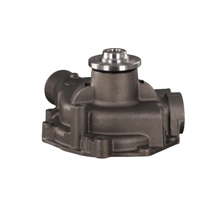 Imagen de FEBI BILSTEIN 33172 Bomba de agua Fundición gris con junta DAF: 95 XF, LF 45