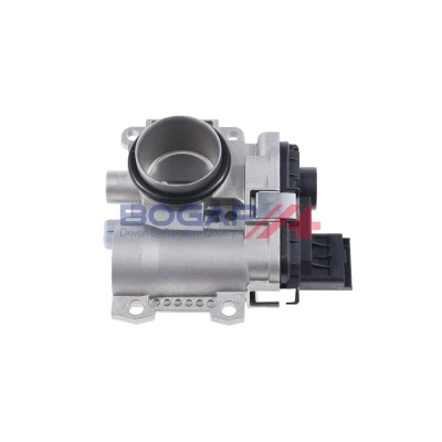 Imagen de BOGAP R6319100 Cuerpo de Mariposa RENAULT: Kangoo I, CLIO 2, TWINGO 1