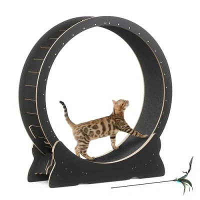 Imagen de Mondeer Rueda para Gatos, Ejercicio Gatos de Interior con Pista alfombrada, Cinta Correr XL 43.3 Pulgadas Alfombra extraíble y Juguete Correr, Caminar Entrenar