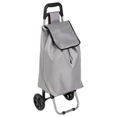Imagen de Paris Prix Carrito para bebé, Color Gris