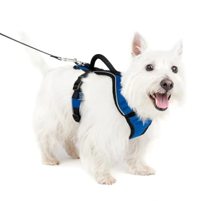 Imagen de PetSafe EasySport Arnés para Perros Acolchado Ajustable con Asa de Control y Cinta Reflectante Pequeño Azul