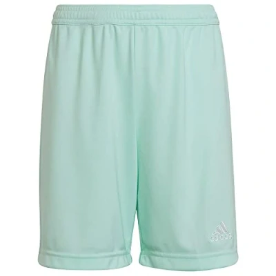 Imagen de adidas Entrada 22 Shorts Bermudas, Clear Mint, 152 Unisex niños