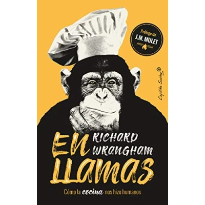Imagen de En llamas: Cómo la cocina nos hizo humanos (ENSAYO)