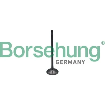 Imagen de Válvula de admisión Borsehung B10323