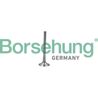 Imagen de Borsehung B19011 Válvula de Escape AUDI: Q7, A3 Sportback, A5 B8 VOLKSWAGEN: GOLF 5, Multivan 5 (7HM, 6, SEAT: Leon II Hatchback