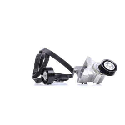 Imagen de INA 529 0007 10 Juego de correas trapeciales poli V Revisar/sustituir poleas libres del alternador FORD: Focus Mk1 Hatchback