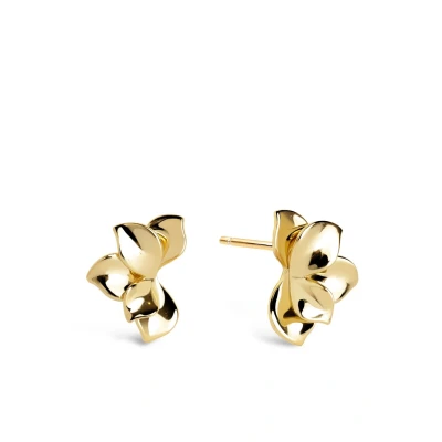 Imagen de Singularu Zinnia Pendientes, Mujer, Talla: One Size, Gold