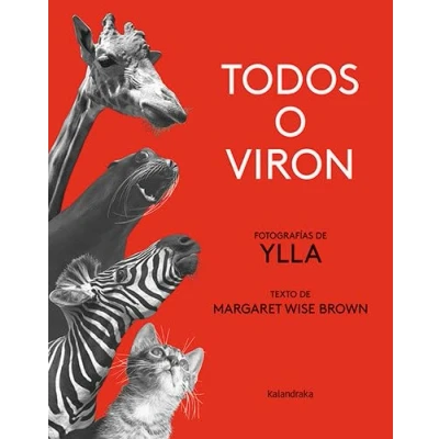 Imagen de Todos o viron (Tras os montes)