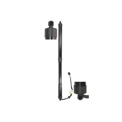 Imagen de Resorte de gas, estante extraíble (maletero/carga) MAGNUM TECHNOLOGY MGS5072MT