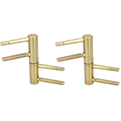 Imagen de KOTARBAU® 2 x Bisagras Anuba de puerta, Pernos para puerta y marco, 20 mm, Pernio rascado, Bisagra perno enroscar, regulable 3D latón inoxidable, puertas madera