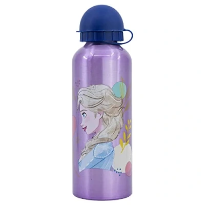 Imagen de Botella de agua infantil reutilizable aluminio 530 ml Frozen