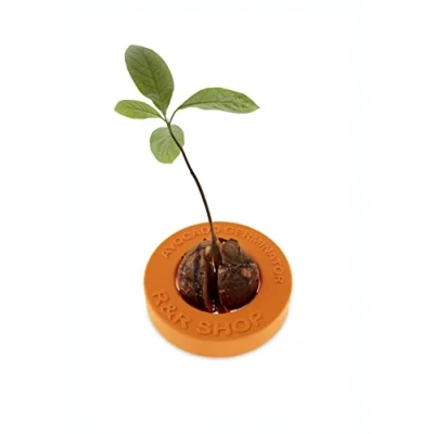 Imagen de R&amp;R SHOP Avocado Germinator Maceta Flotante para germinación de Aguacate, Kit Cultivo Semillas, plástico maíz 100% reciclable y compostable (Naranja)