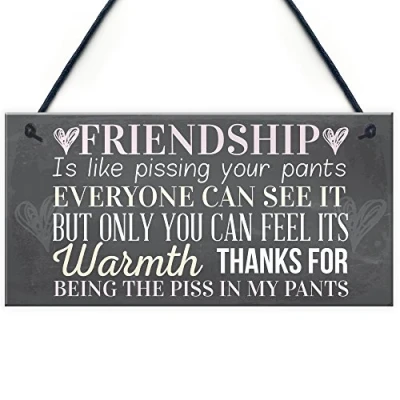 Imagen de RED OCEAN Placa colgante con texto en inglés &quot;Best Friend&quot;, regalo de amistad, gracioso, novedad, cumpleaños, Shabby Chic