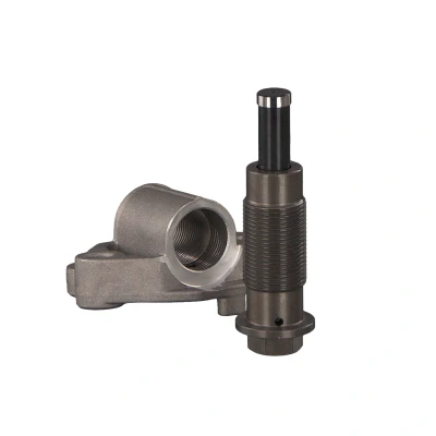 Imagen de FEBI BILSTEIN 48307 Tensor, cadena de distribución