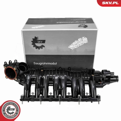 Imagen de Módulo de tubo admisión ESEN SKV 49SKV090