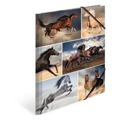 Imagen de HERMA 19209 carpeta de dibujo Animales con motivo Caballos, A4, cartón resistente, impresión interior, 1 palmo