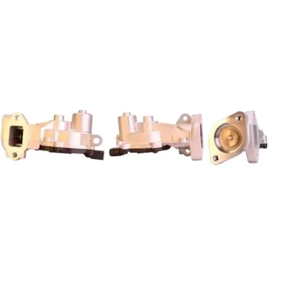 Imagen de ELSTOCK 73 0152 Válvula EGR eléctrico con juntas OPEL: Corsa D Hatchback, Astra J Sports Tourer