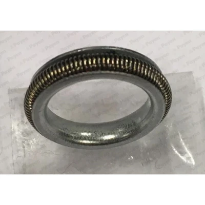 Imagen de Anillo obturador PAYEN KK5742
