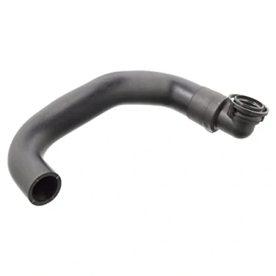 Imagen de FEBI BILSTEIN 102797 Manguito, alimentación de aire