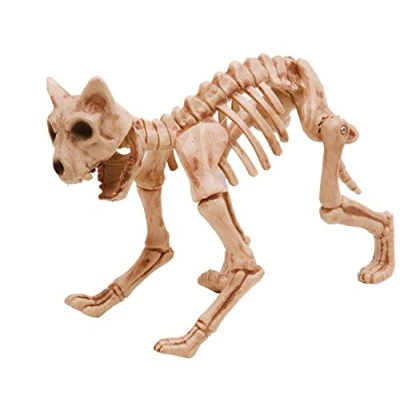 Imagen de My Other Me Esqueleto Gato