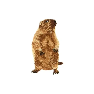 Imagen de mdc Parche termoadhesivo (3,1 x 5,4 cm), diseño de marmotas