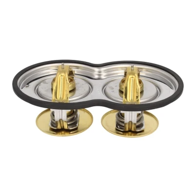 Imagen de Termostato, refrigerante BEHR MAHLE TX 32 80D