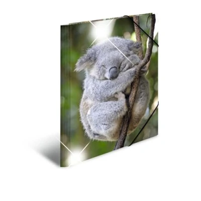 Imagen de HERMA 19333 carpeta de dibujo Animales brillante con motivo Koala, A3, plástico resistente, impresión interior, 1 palmo