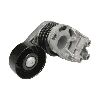 Imagen de INA 534 0187 10 Brazo tensor, correa trapecial poli V SEAT: Ibiza 3, Córdoba II Berlina, VOLKSWAGEN: Polo IV Hatchback