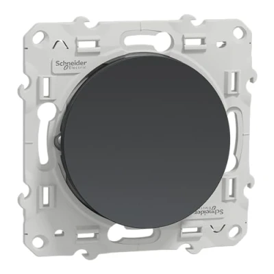 Imagen de Schneider Electric Odace S540204 Interruptor bidireccional, color gris