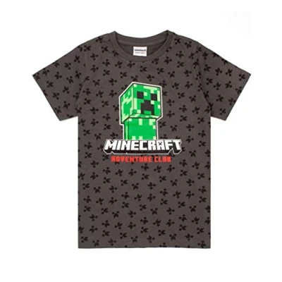 Imagen de Minecraft Camiseta niños Enredadera Manga Corta Gris Top mercancía 11 12 años