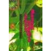Imagen de MANUAL PRACTICO PARA SIBARITAS: El Cultivo del Cannabis en Exterior (SIN COLECCION)