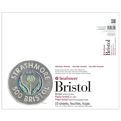 Imagen de Strathmore (580 82 500 Series Bristol, superficie de vitela 2 capas, 14 x 17 pulgadas, gris, 15 hojas)