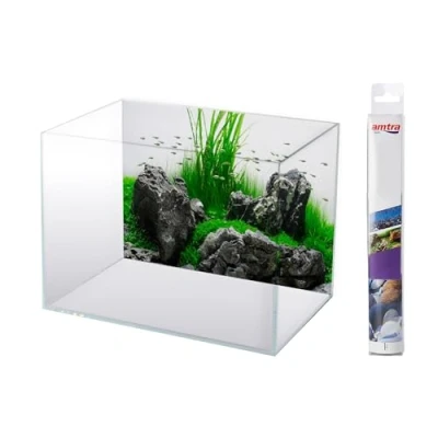 Imagen de Amtra A8011596 Doble Amazonia Blister Fondo, 30 x 60 cm