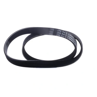 Imagen de CONTITECH 5PK847 Correa trapecial poli V 847 5 FORD: Focus 2, KUGA 1, RENAULT: CLIO Super Hatchback, 19 I HONDA: CIVIC 8 Hatchback