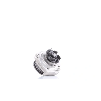 Imagen de DOLZ S161 Bomba de agua FIAT: Cinquecento, Punto I Hatchback, Panda LANCIA: Y10