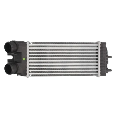 Imagen de THERMOTEC DAC002TT Intercooler 300 147 85 CITROËN: Berlingo / First I Furgón, Xsara Picasso, PEUGEOT: Partner Combispace