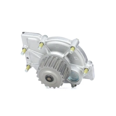 Imagen de DOLZ R199 Bomba de agua 19 con polea VOLVO: XC90 I, S40 V70 2, FORD: Focus KUGA 1, MONDEO 4, RENAULT: LAGUNA 1 Grandtour