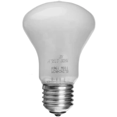 Imagen de Elinchrom EL23002 Bombillo para Lámpara de Modelado Recambio 100 W