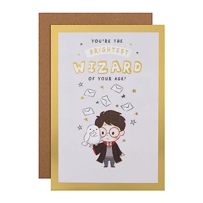Imagen de Hallmark Tarjeta de cumpleaños con diseño búho Harry Potter y Hedwig laberinto