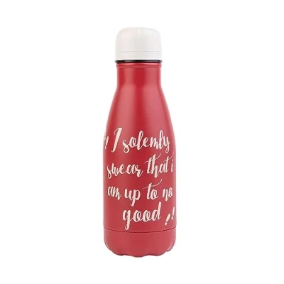 Imagen de Grupo Erik Botella agua acero inoxidable Harry Potter niños colegio termica Frio/Calor de 260ml