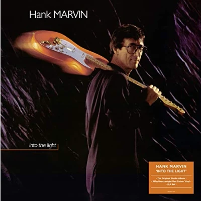 Imagen de Into the Light [Vinilo]