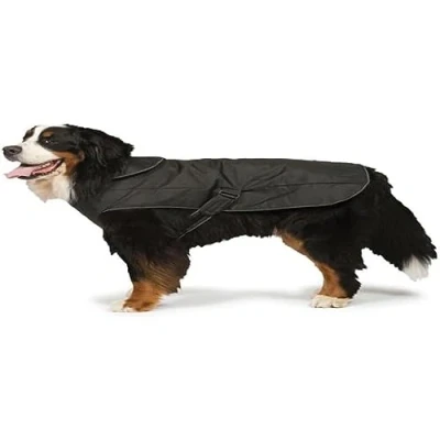 Imagen de Danish Design Arnés para Perro 2 en 1 (75 cm), Color Negro