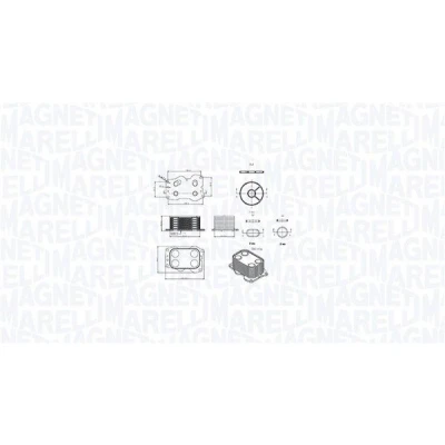 Imagen de MAGNETI MARELLI 350300000900 Radiador de Aceite PEUGEOT: 307 SW, 607 Berlina, Hatchback, FORD: Focus 2, C Max, CITROËN: Jumpy II MPV
