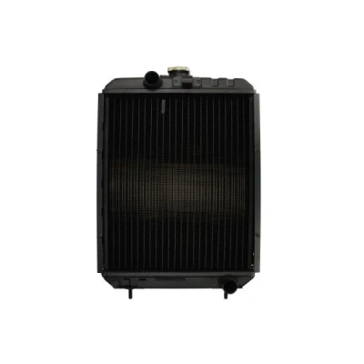 Imagen de THERMOTEC D7AG163TT Radiador, refrigeración del motor 450 380 39,2