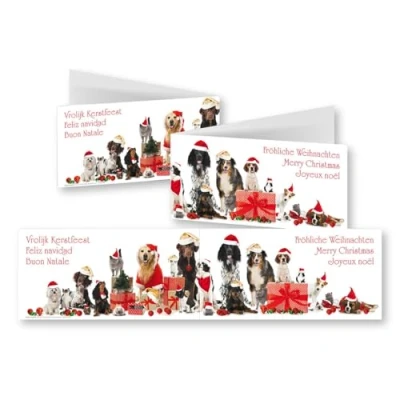 Imagen de Edition Colibri 10 divertidas tarjetas de Navidad con sobres Navidad: DIN largo, 42 cm ancho, plegables animales divertidos (perro y gato), juego sobre (11156)